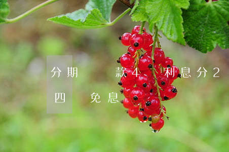 分期樂貸款4萬利息分24期還多少（分期樂四萬免息）