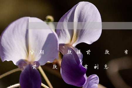 分期樂貸款提前還款還有影響嗎-分期樂提前還款還會有利息嗎