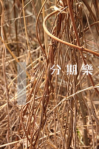 分期樂貸款欠90萬(分期樂貸款一萬)