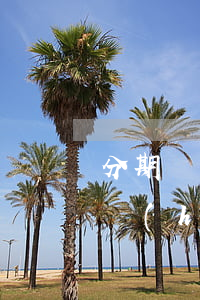 分期樂貸款逾期五個(gè)月收到律師函會(huì)被起訴（分期樂貸款逾期五個(gè)月收到律師函會(huì)被起訴）