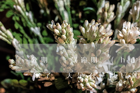 分期樂貸款逾期會(huì)怎樣(分期樂逾期了幾天是不是以后就不給用了)