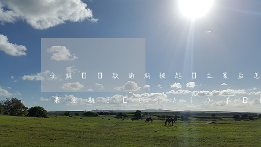 分期樂貸款逾期被起訴立案后怎么解決-如果逾期了實(shí)在沒錢還怎么辦