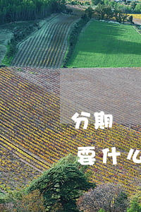 分期樂貸款需要什么資料-分期樂借錢都需要什么