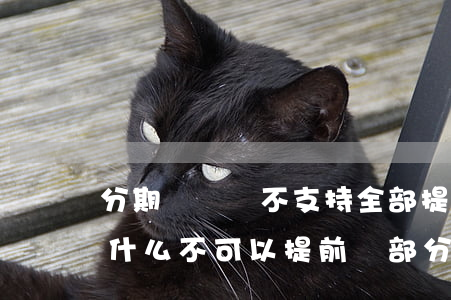 分期樂賬單不支持全部提前還款-分期樂為什么不可以提前還部分賬單