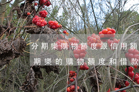 分期樂購物額度跟信用額度能一起用嘛-分期樂的購物額度和借款額度共用嗎