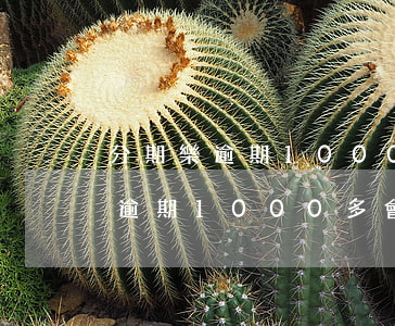 分期樂逾期1000多天會上門嗎-分期樂逾期1000多會聯(lián)系家里人嗎?