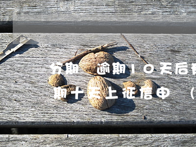 分期樂逾期10天后有什么流程-分期樂逾期十天上征信 申請(qǐng)法律途徑