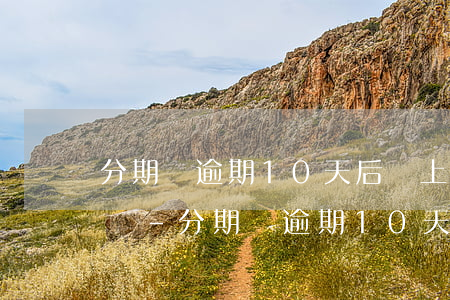 分期樂逾期10天后還上會(huì)怎么樣-分期樂逾期10天 還進(jìn)去還能拿出來嗎