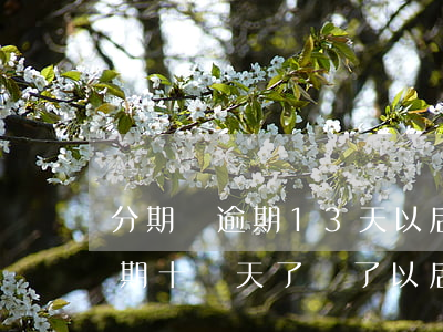分期樂逾期13天以后還能用嗎-分期樂逾期十幾天了,還了以后還能用嗎