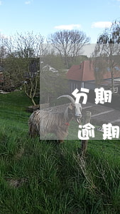 分期樂逾期16000金額算高嗎-分期樂逾期了160多天會(huì)被起訴了嗎