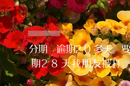 分期樂逾期20多天說要逮捕我-分期樂逾期28天,我朋友被打電話催收了