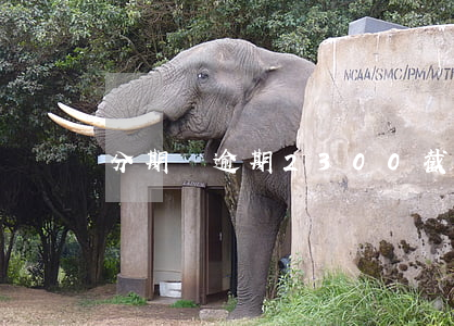 分期樂逾期2300截圖