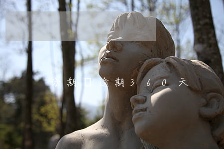 分期樂逾期360天
