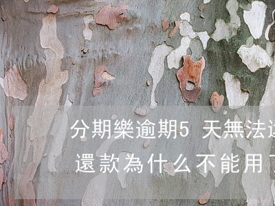 分期樂逾期5天無法還款(分期樂逾期兩天后還款為什么不能用了)