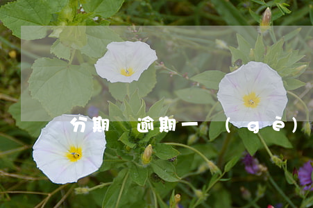 分期樂逾期一個(gè)多月還可以用么-