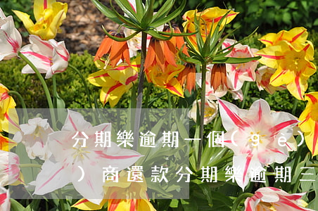 分期樂逾期一個(gè)月怎么協(xié)商還款(分期樂逾期三個(gè)月后還可以協(xié)商分期嗎)