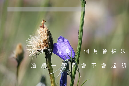 分期樂逾期一個月會被法律訴訟嗎-分期樂逾期一個月會不會起訴到法院去