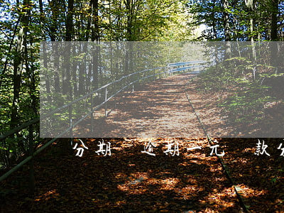 分期樂逾期一元還款(分期樂逾期一元還款)