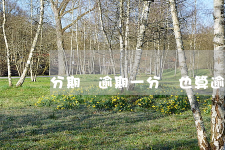 分期樂逾期一分鐘也算逾期