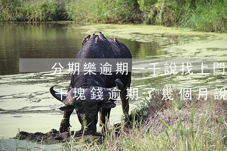 分期樂逾期一千說找上門怎么辦-分期樂幾千塊錢逾期了幾個月說要上門催收是真的嗎