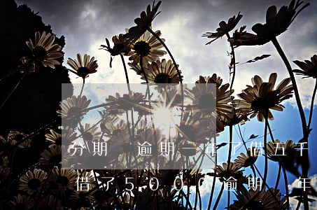 分期樂逾期一年了借五千還九千多-分期樂借了5000逾期兩年現(xiàn)在讓還10000多合理嗎?