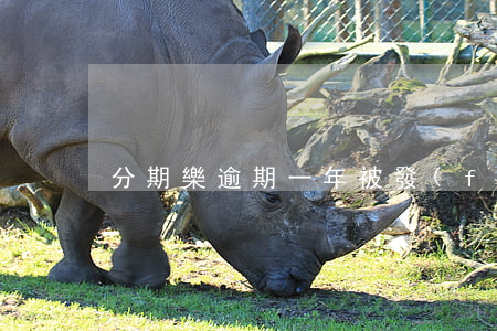 分期樂逾期一年被發(fā)律師函