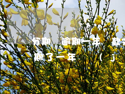 分期樂逾期一年還款完還能借嘛-分期樂逾期了一年還進(jìn)去了征信會消除嘛