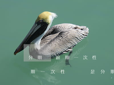 分期樂逾期一次性還還是分期還-分期樂逾期一次性還還是分期還款