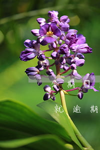 分期樂逾期一次為什么使用不了了-分期樂就逾期過一天為啥還了不讓用啦