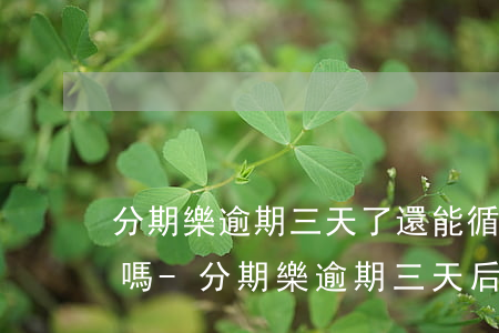 分期樂逾期三天了還能循環(huán)借嗎-分期樂逾期三天后還款還可以再借嗎