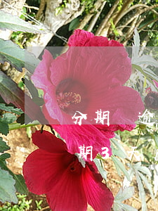 分期樂逾期三天后還款還能用嗎-分期樂逾期3天后還了 還能繼續(xù)使用嗎