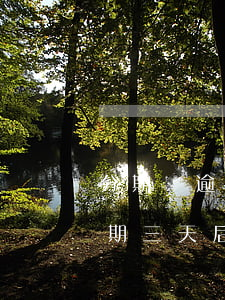 分期樂逾期三天還能借錢出來嗎-分期樂逾期三天后還款還可以再借嗎