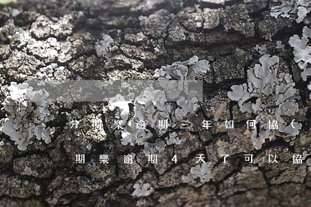 分期樂逾期三年如何協(xié)商還款(分期樂逾期4天了,可以協(xié)商延期還款嗎?)