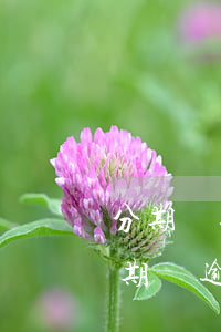 分期樂逾期上征信么，是否會受影響？了解分期樂逾期是否會上征信