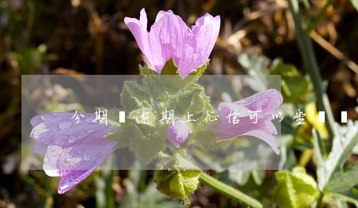 分期樂逾期上征信可以坐飛機嗎-