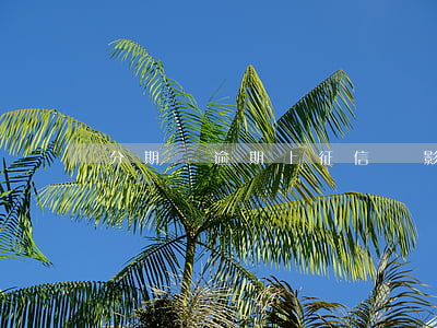 分期樂逾期上征信嗎影響信用卡嗎 分期樂逾期上征信嗎影響信用卡嗎