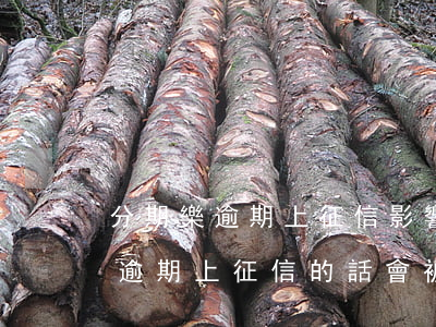 分期樂逾期上征信影響京東白條嗎-分期樂逾期上征信的話會被進黑名單嗎