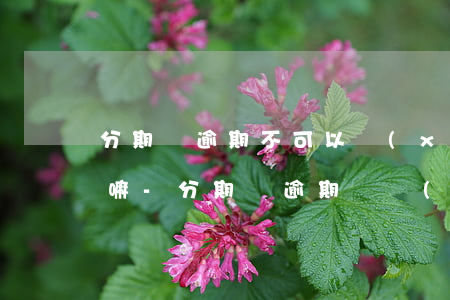 分期樂逾期不可以協(xié)商本金還款嘛-分期樂逾期幾個(gè)月可以協(xié)商還本金嗎