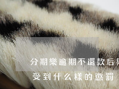 分期樂逾期不還款后果(分期樂逾期不還款會受到什么樣的懲罰)