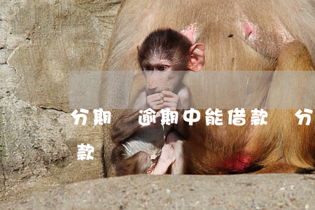 分期樂逾期中能借款嗎(分期樂逾過期還能借款嗎)