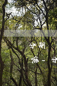 分期樂逾期久了會上門核實(shí)情況嘛-分期樂逾期真的會上門或者上法院嗎