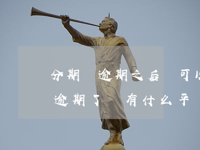 分期樂逾期之后還可以貸款的平臺-分期樂逾期了還有什么平臺可以借的出來嗎