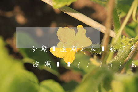 分期樂逾期之后還款了多久才能用-分期樂逾期還進(jìn)去了 過多久可以接出來
