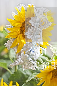 分期樂逾期之后需要全部還款嗎-分期樂貸款逾期后會(huì)不會(huì)不能分期還了