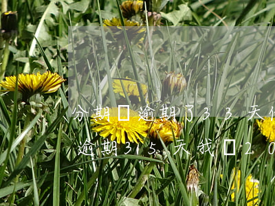 分期樂逾期了33天代償了(分期樂1000逾期35天我說20號還完進去他)