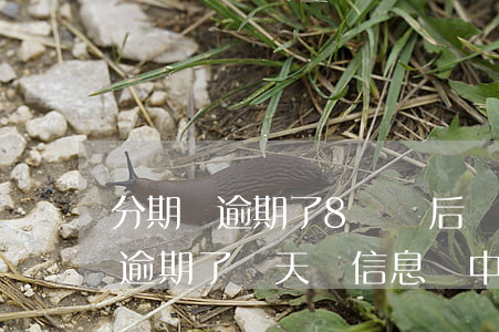 分期樂逾期了8點過后會打電話嗎-分期樂逾期了兩天,發信息說中午12點不還就嚴格處理