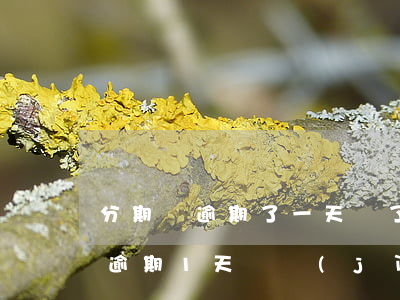分期樂逾期了一天還了還可以借嗎-分期樂逾期1天還進(jìn)去還可以借出來嗎