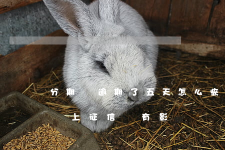 分期樂逾期了五天怎么恢復(分期樂逾期5天會上征信嗎?有影響嗎?)