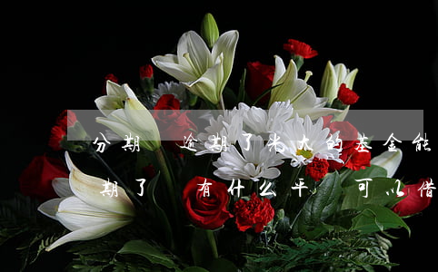 分期樂逾期了光大的基金能買嗎-分期樂逾期了還有什么平臺可以借的出來嗎