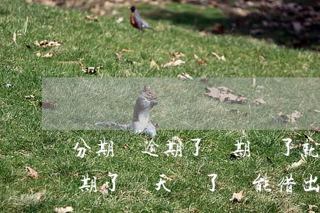 分期樂逾期了兩期還了就沒事了嗎(分期樂逾期了兩天還了還能借出來嗎)